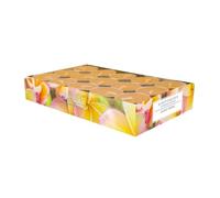 Pajoma 92003 Set di 30 lumini profumati di Mango Arancione Modern Line, Durata Circa 14 Ore, Altezza 1,5 cm