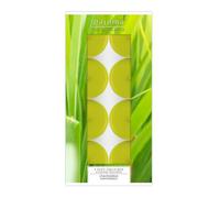 Pajoma Duftteelichte in Aluminiumhülle Candele a lumino profumate, Giallo, 3.5 cm, 8 unità