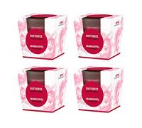 Pajoma - Set di 4 candele profumate al melograno, in vetro satinato, 4 x 124 g, durata 25 ore, in elegante confezione regalo