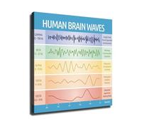 PAJPXPCD Brain Waves Chart EEG Frequencies Educational Wall-Art 5 Types Alpha Beta Theta Delta Gamma Psychology Neuroscience Study Classroom Office Decor(Unframed,08X12inch(20X30cm))