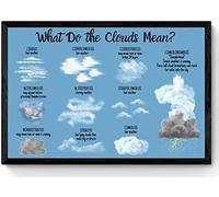 PAJPXPCD Vintage Educational Cloud Chart Metal Tin Sign Weather Science Identification Wall Decor for Homeschool Teacher Nature Study Room 8 X 12 inch