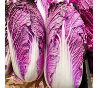 Pak Choi - Cavolo cinese orticole Aiuole rialzate giardino balcone rialzato letto semi biologici ornamentali semi di giardino 200pcs