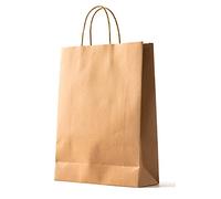 PAKNOR® 24 sacchetti di carta marrone con manici, 24 x 31 x 11 cm, sacchetti di carta con manico a cordoncino, sacchetti regalo, sacchetti di carta Kraft, fai da te