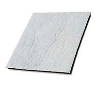 PakTrade Filtro Motore per Aspirapolvere Philips Performer PRO FC 9197