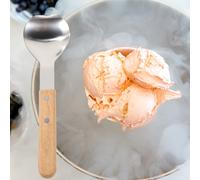 Pala gelato in acciaio inossidabile con paletta