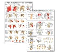 Palace Learning Confezione da 2 poster con anatomia e lesioni del ginocchio e della spalla, set di grafici anatomici, laminato, 45,7 x 61 cm