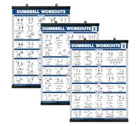 Palace Learning Confezione da 3 poster per allenamento con manubri per palestra a casa, volume 1, 2 e 3, tabelle degli esercizi (Laminate con telaio in plastica, 45,7 x 61 cm)