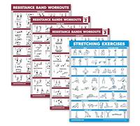 Palace Learning Confezione da 4 poster per allenamento con fasce di resistenza, volume 1, 2 e 3 + tabella degli esercizi di stretching (laminati, 45,7 x 61 cm)