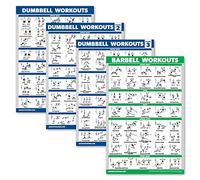 Palace Learning Confezione da 4 poster per allenamento con manubri volume 1, 2 e 3 + tabella degli esercizi con bilanciere, set di 4 poster (laminati, 45,7 x 61 cm)