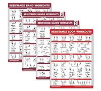 Palace Learning Confezione da 4 poster per esercizi di resistenza, volume 1, 2 e 3 + tabella fitness con anelli di resistenza (laminata, 45,7 x 61 cm)
