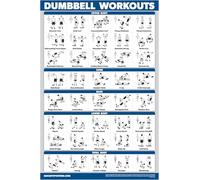 Palace Learning Poster per esercizi di allenamento con manubri, guida gratuita per body building | tabella per palestra a casa - laminato, 45,7 x 61 cm