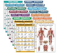 Palace Learning Set da 16 poster per esercizi: manubri, sospensioni, kettlebell, bande di resistenza, palla medica, corda da combattimento, stretching, peso corporeo, bilanciere, yoga, palla per