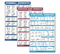 Palace Learning Set di 3 poster con esercizi con manubri + fasce di resistenza + esercizi di stretching - Set di 3 tabelle di allenamento (laminato, 45,7 x 61 cm)