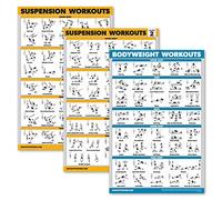 Palace Learning - Set di 3 poster per allenamento in sospensione, volume 1 e 2 + esercizi di peso corporeo, Laminato., 18" x 27"