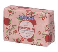 Paladin Pharma ULRICH SAPONETTA MELOGRANO