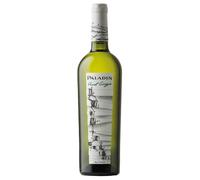 Paladin Pinot Grigio delle Venezie DOC 2024 0,75 l