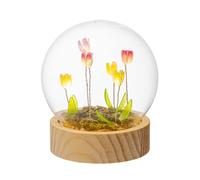 PALAIS ROYAL Sfera in Vetro con Fiori e LED 10cm Base in Legno