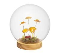 PALAIS ROYAL Sfera in Vetro con Girasoli e LED 15cm Base in Legno