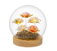 PALAIS ROYAL Sfera in Vetro con Rose e LED 12cm Base in Legno