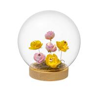 PALAIS ROYAL Sfera in Vetro con Rose e LED 15cm Base in Legno