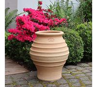 Palatina in ceramica, piccole anfore in terracotta, resistente all'inverno e alle intemperie, 35 cm, per balcone, giardino o terrazza, agave