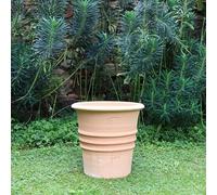 Palatina Werkstatt Vaso da fiori Aster 35 cm in terracotta, resistente al gelo, fatto a mano su Creta, vaso in terracotta resistente all'inverno, con foro di scarico, ideale per giardino, terrazza e
