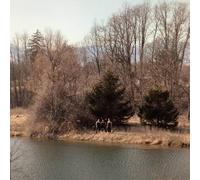 Palberta - Hot On The Beach