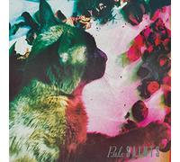 Pale Saints - The Comforts Of Madness (30Th Anniversary)