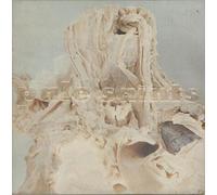 Pale Saints,the - In Ribbons