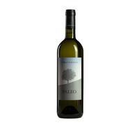 Paleo Bianco Le Macchiole 2023