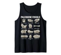 Paleogene Fossili Paleontologia Scientifica Arte Canotta