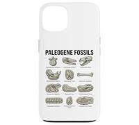Paleogene Fossili Paleontologia Scientifica Arte Custodia per iPhone 13