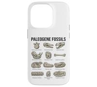 Paleogene Fossili Paleontologia Scientifica Arte Custodia per iPhone 14 Pro