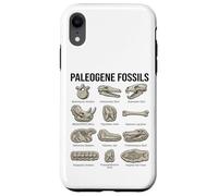 Paleogene Fossili Paleontologia Scientifica Arte Custodia per iPhone XR