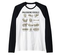 Paleogene Fossili Paleontologia Scientifica Arte Maglia con Maniche Raglan
