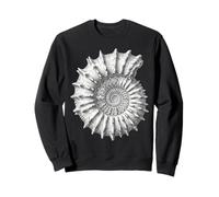 Paleontologia Acanthoceras Ammonite Fossil Spiral Shell Felpa