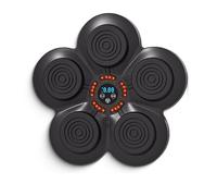 Palestra Elettronica Da Montare A Muro Muay Thai Boxing Target Musica