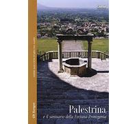 Palestrina e il santuario della Fortuna Primigenia. Ediz. illustrata
