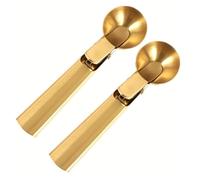 Paletta for gelato in acciaio inox, manico antigelo, cucchiaio for(G)