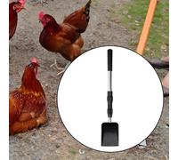 Paletta per lettiera in metallo per escrementi di pollo, setacciatrice