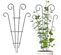 Paletti Pianta Arrampicata Telaio Traliccio Fiori Stand Gage Albero Giardino di Supporto Pianta Domestica Cura delle Piante Domestiche Disposizione Floreale Per La Crescita delle Piante
