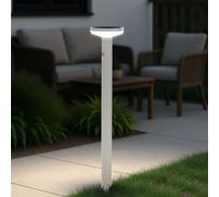 Paletto da giardino Solare Bianco 80cm con Sensore Mov. e Picchetto Colore Bianco Naturale 4.000K