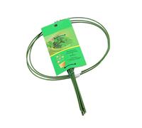 Pali da Giardino in Ferro Rivestito Verde Promuovono la Crescita delle Piante Pr