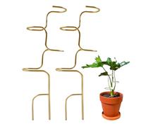 Pali di supporto per piante supporto 2 pali di supporto per terreno | Supporto per piante per Monstera, Pomodoro, Orchidea, Peonia, Epipremnum, Giardino, Prato, Paesaggio