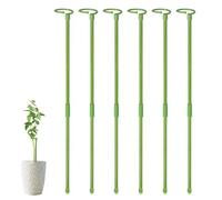 Pali di supporto per steli per piante, 6 supporti per piante a stelo singolo, anello di supporto per gabbia per piante, bastoncini per piante da giardino per fiori a stelo singolo, amarillide, peonia