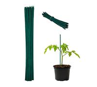 Pali per piante Relaxdays, set 300 pz, A x D 30 x 0,5 cm, verde scuro | Supporto per le piantine, con filo per legare e bastoncini di bambù