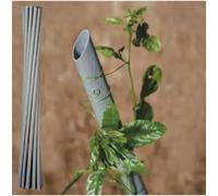Pali sostegno ortaggi pomodori tutore piante in plastica pvc Tenax H 230 cm