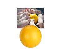 Palla anti stress per suini in plastica