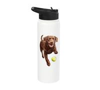 Palla da caccia Labrador marrone Stainless Steel Insulated Water Bottle