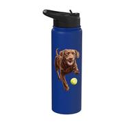 Palla da caccia Labrador marrone Stainless Steel Insulated Water Bottle
